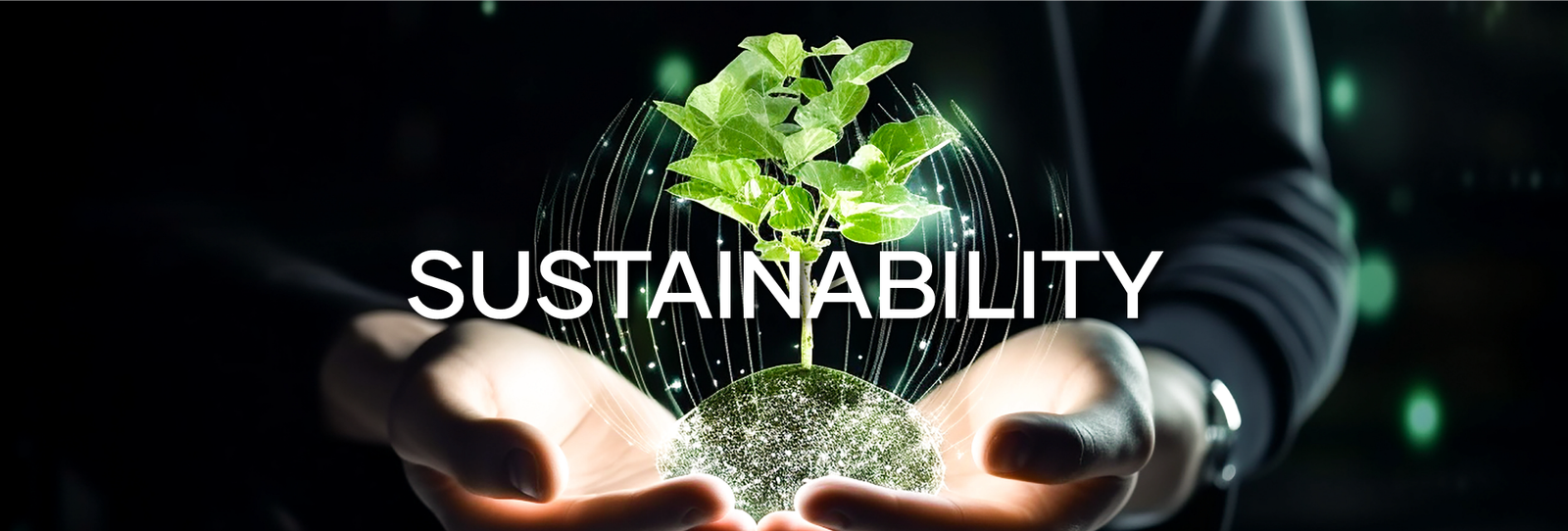 Sustainbility